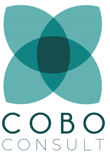 Copy of COBO CONSULT LOGO 2 1 removebg preview 1